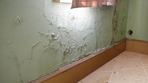 Wall Dampness Leakage WaterProofing